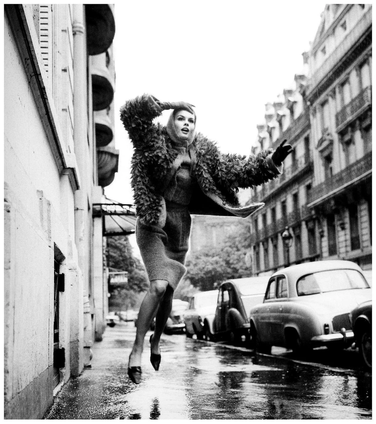Jean Shrimpton picture 1 of 1