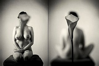 by Allan Taylor'