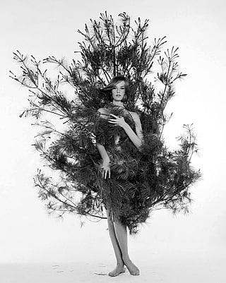 Agneta Frieberg'