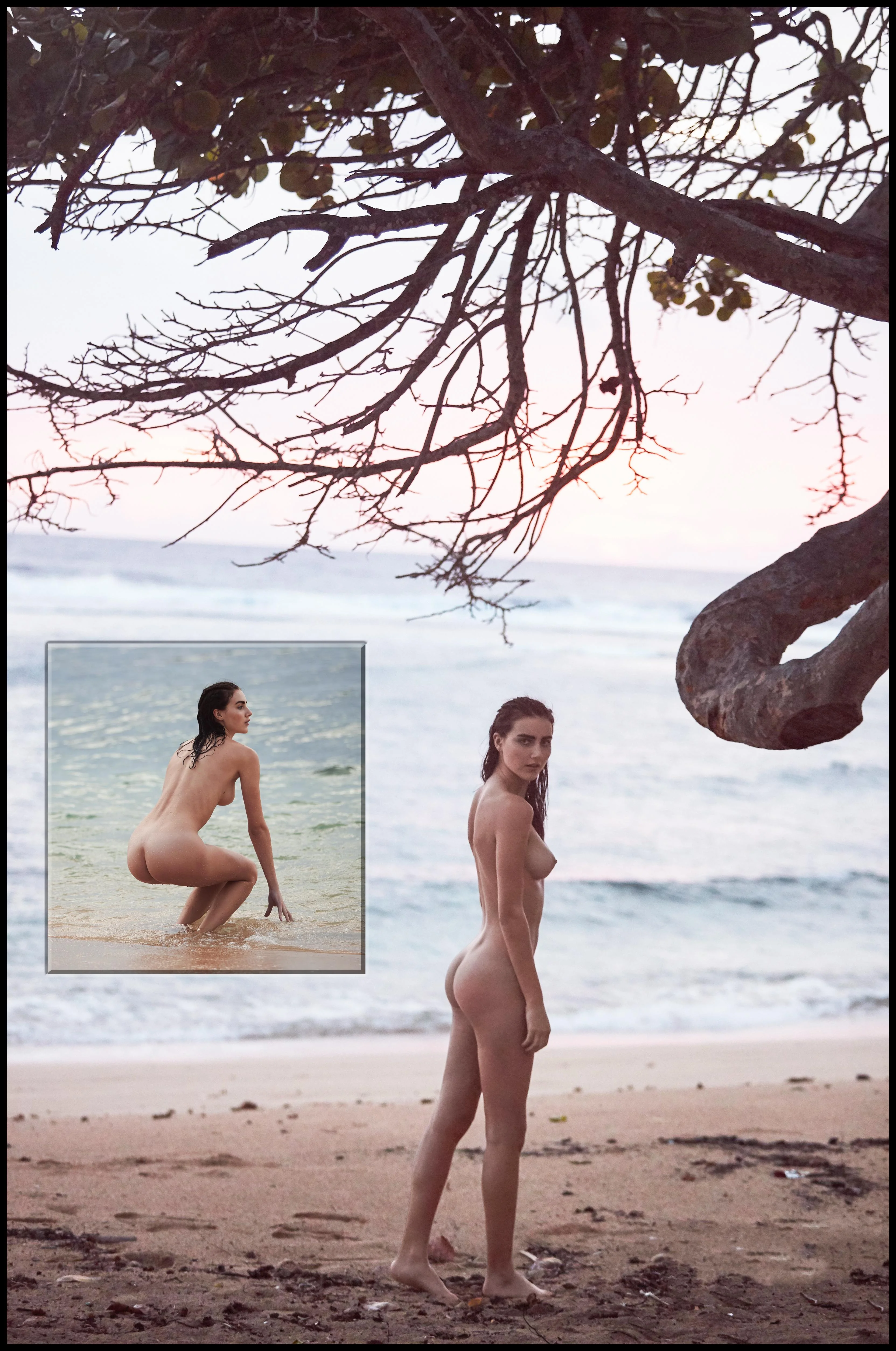 Anna Wolf picture 1 of 1